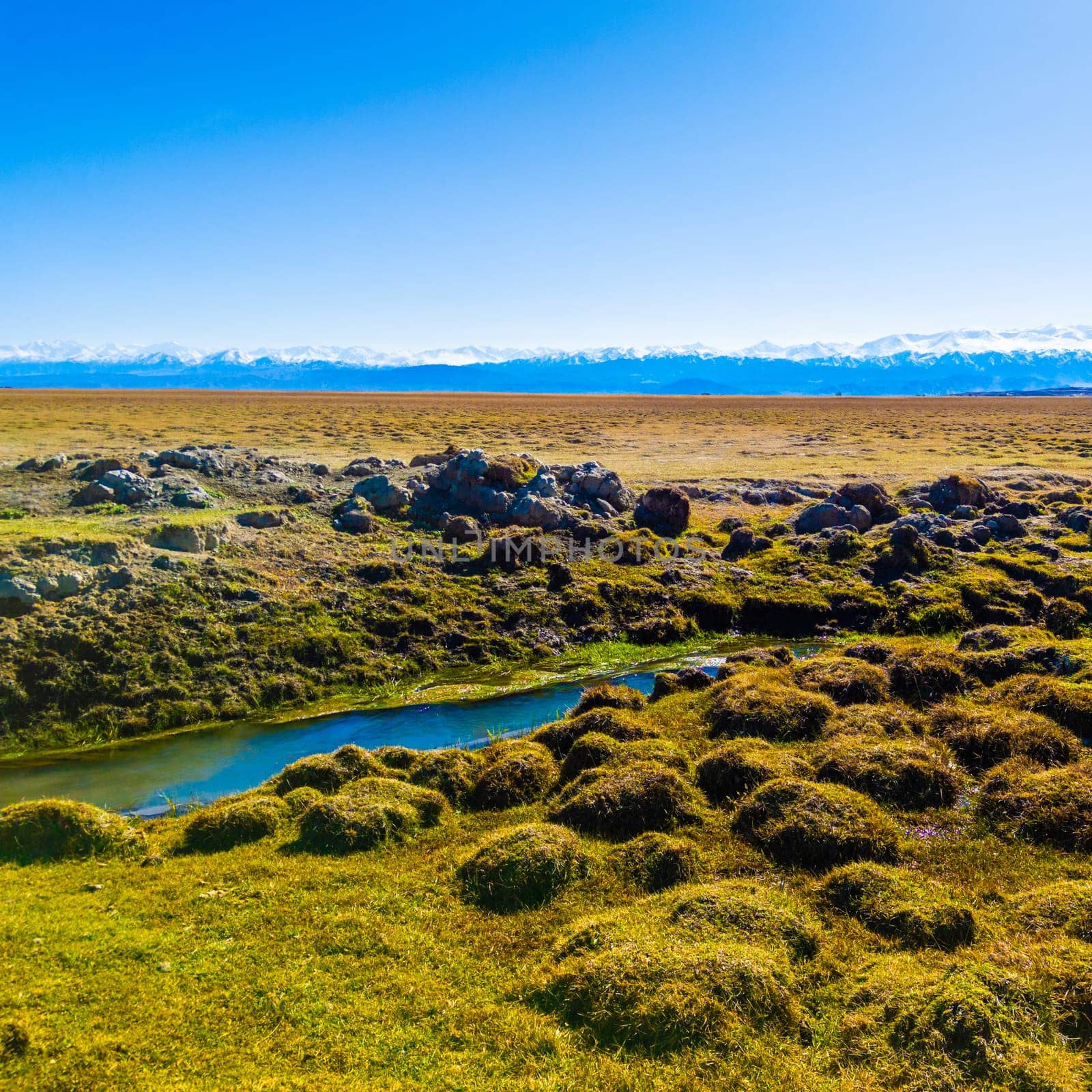 field covered with dry grass bumps and small creek with distant high mountains on the horizon, wide angle surface level view