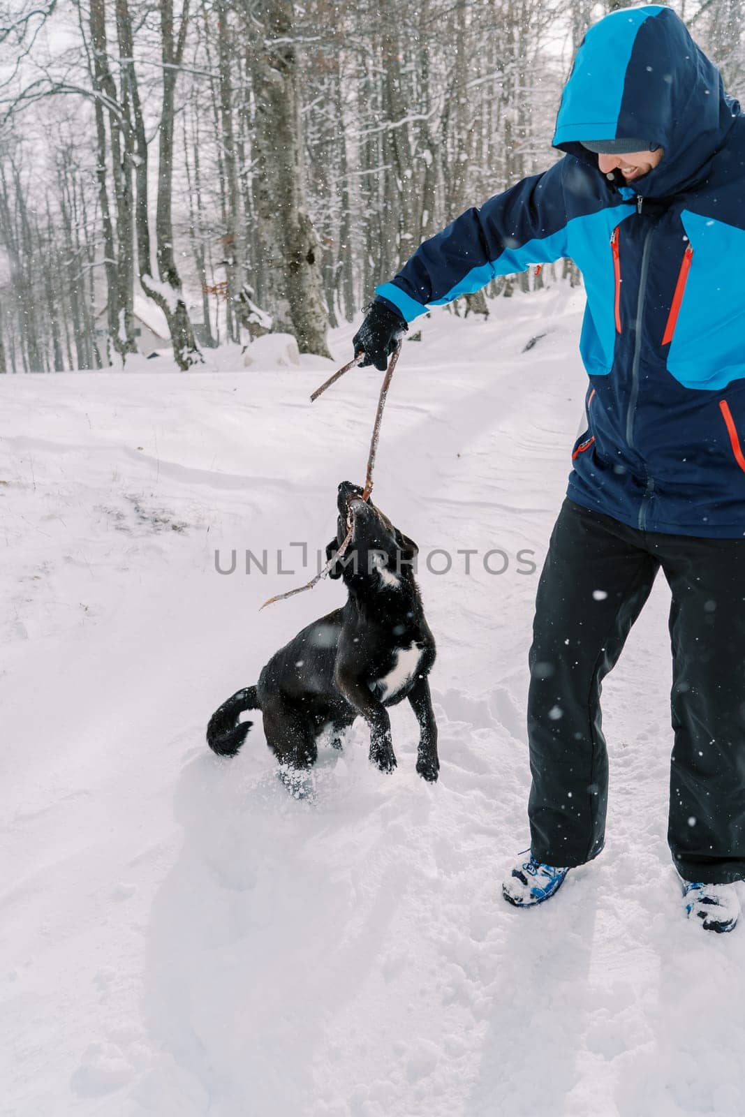 Smiling man playing tug-of-war with a stick with his dog while standing on a snowy road. High quality photo