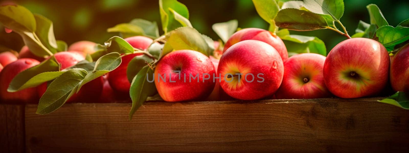 Apple harvest in a box in the garden. Selective focus. Food.