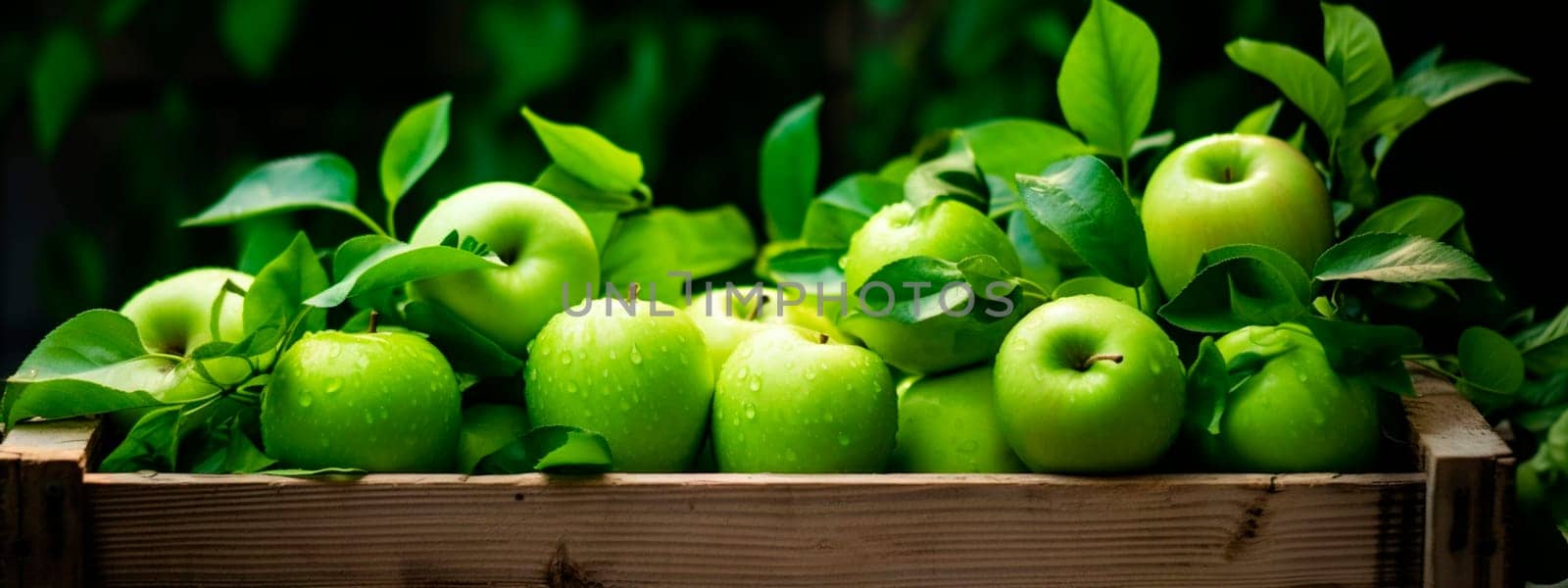 Harvest of green apples in a box in the garden. Selective focus. Food.