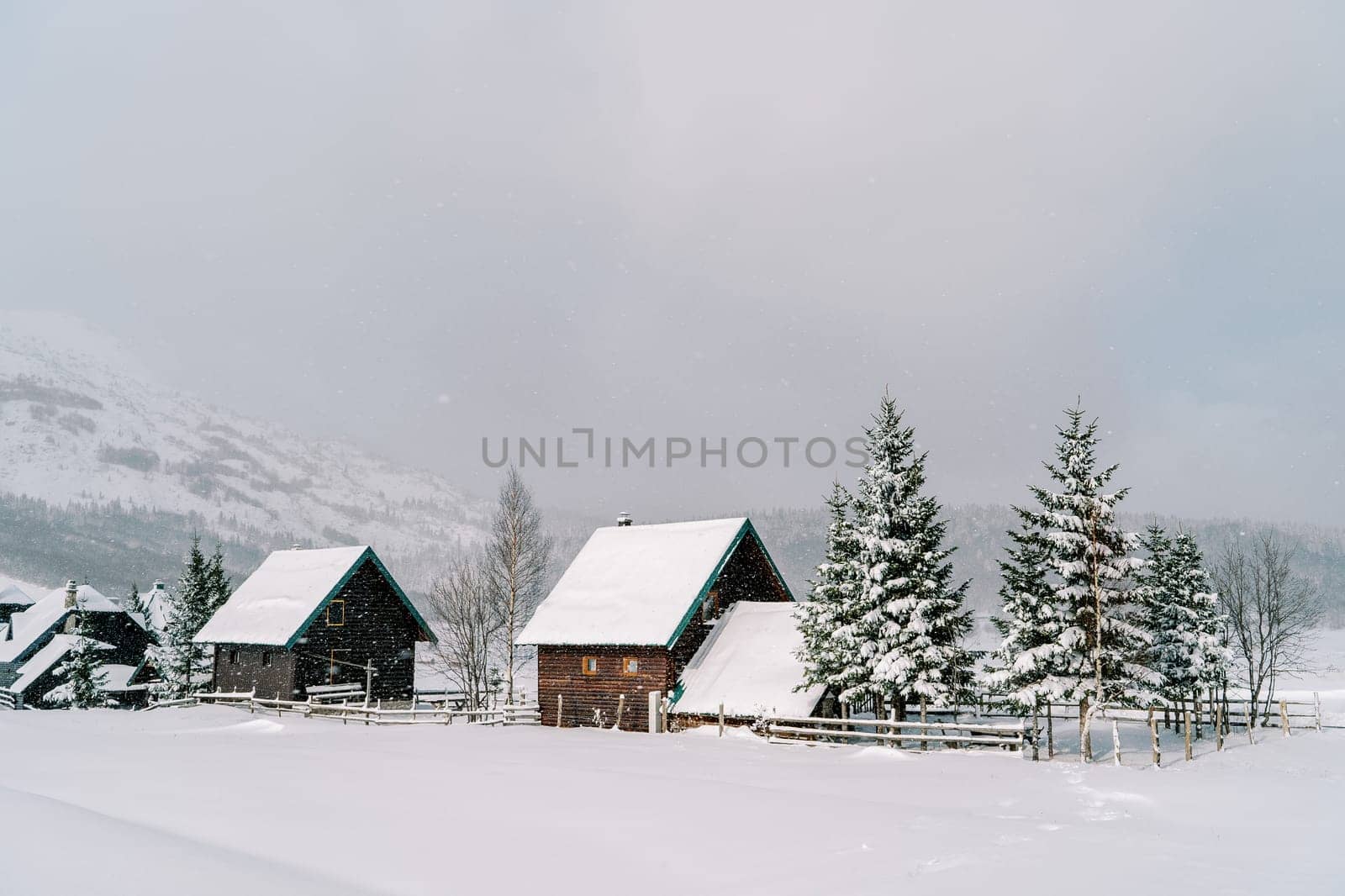 Snow-covered village surrounded by fir trees in a mountain valley under snowfall. High quality photo