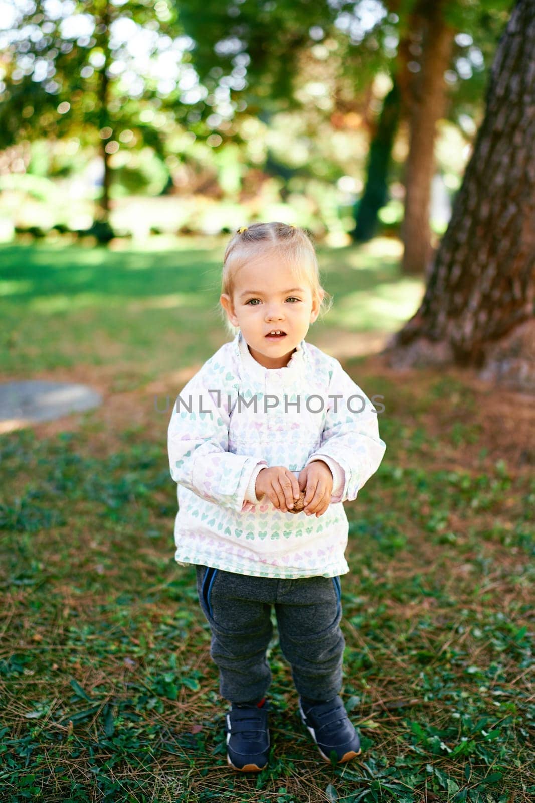 Little girl stands on the lawn near a tree with a nut in her hands. High quality photo