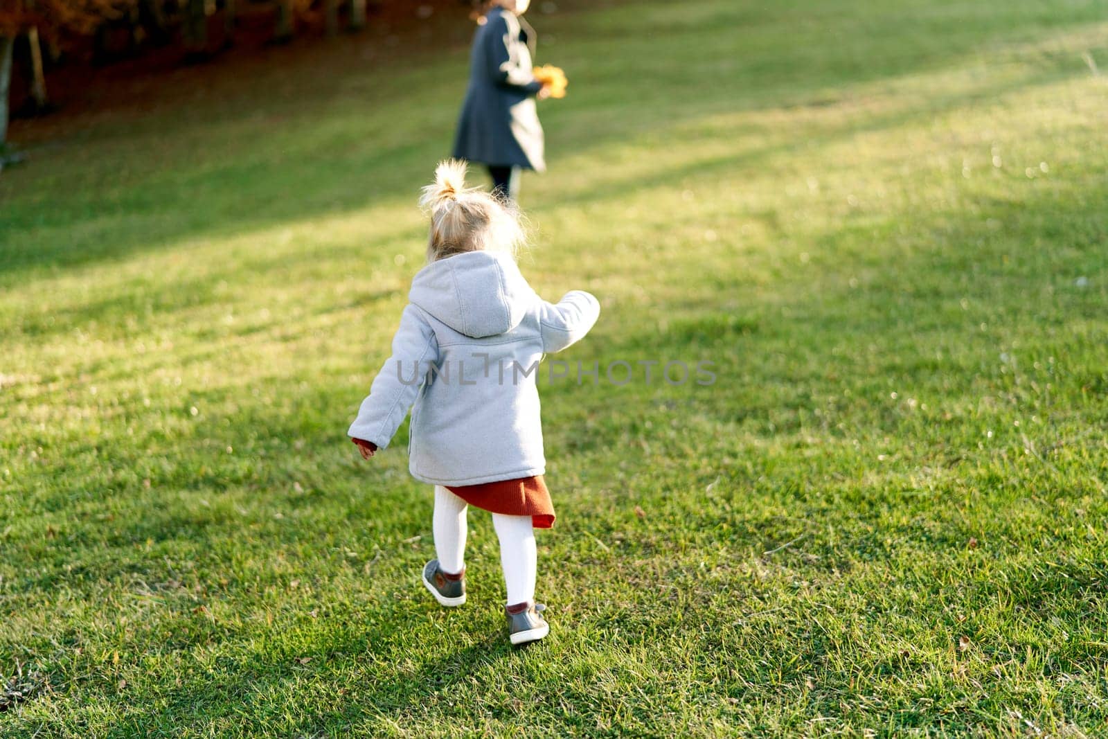 Little girl walks along a green lawn to her mother with a bouquet of yellow leaves. Back view by Nadtochiy