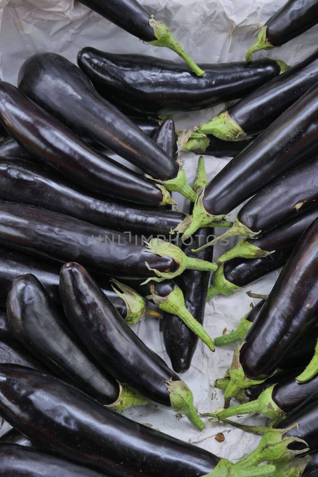 Eggplant in farm market on turkey by towfiq007