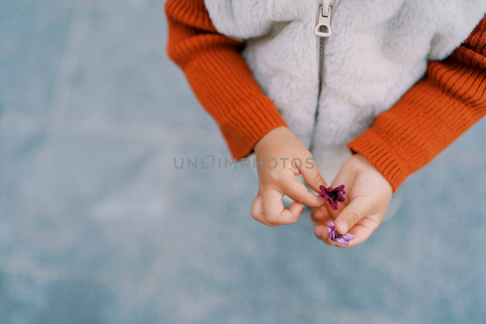 Little girl holds purple flowers in her hands while standing on the street. Cropped. Faceless. Top view. High quality photo