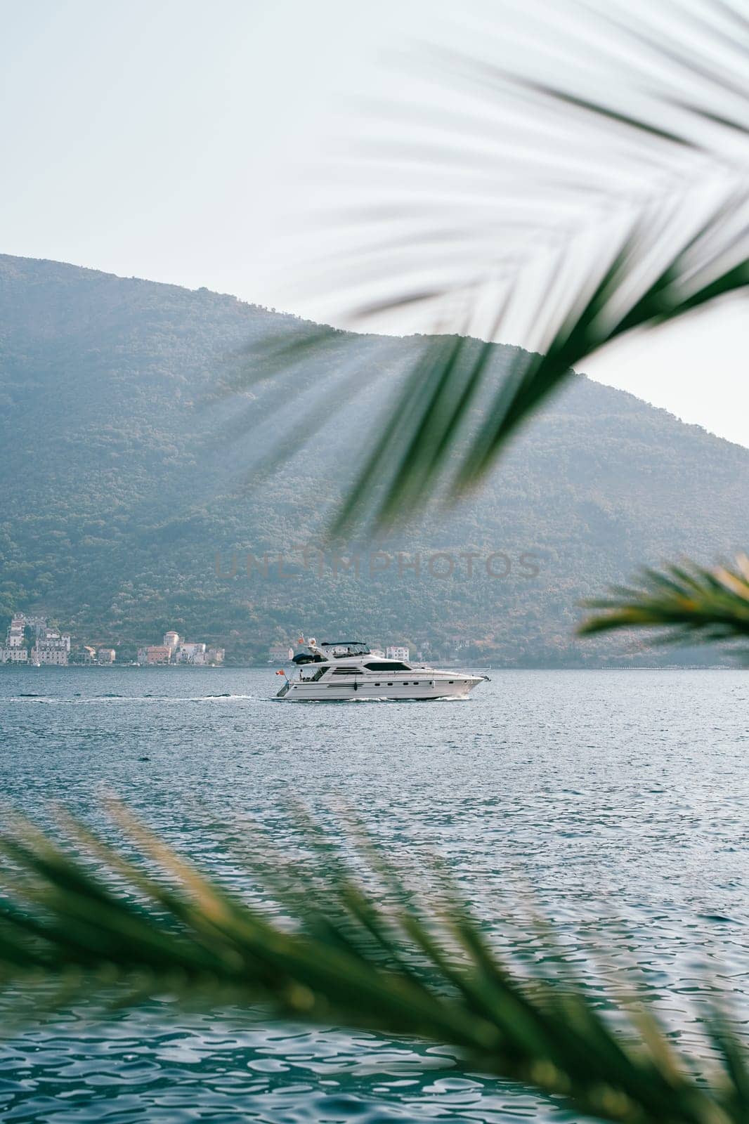 View through palm branches to a motor yacht sailing on the sea. High quality photo
