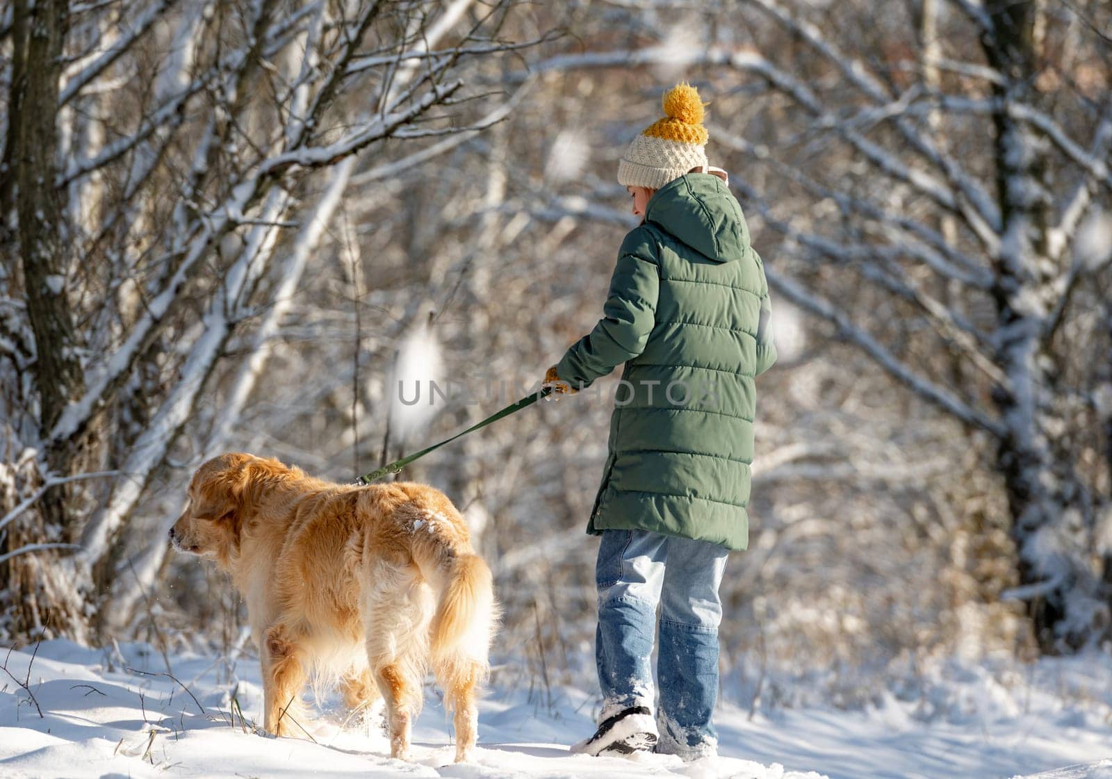 Girl Walks With Golden Retriever In Winter Forest, View From Back by tan4ikk1