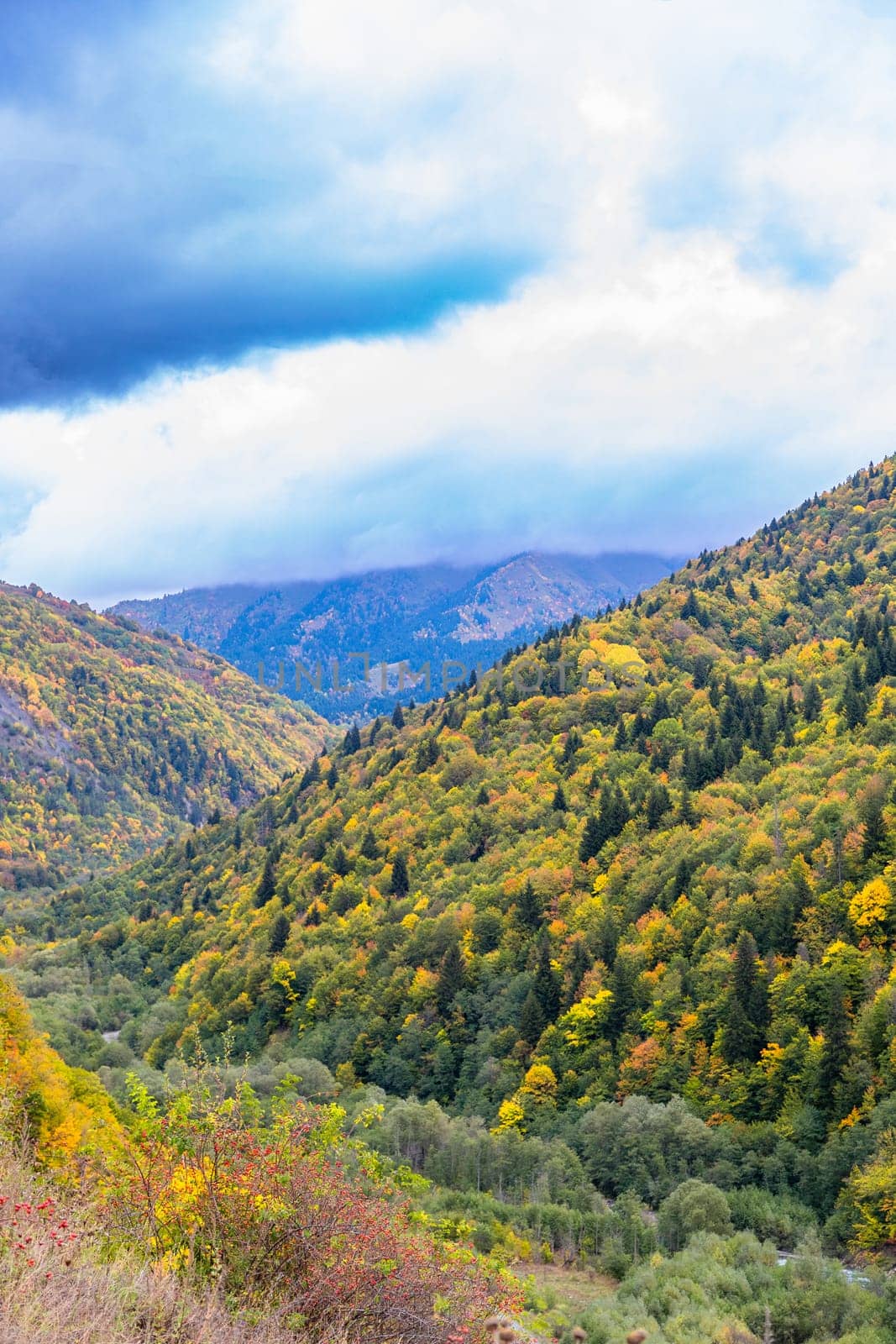 Panoramic view of colorful autumn mountains with bright trees