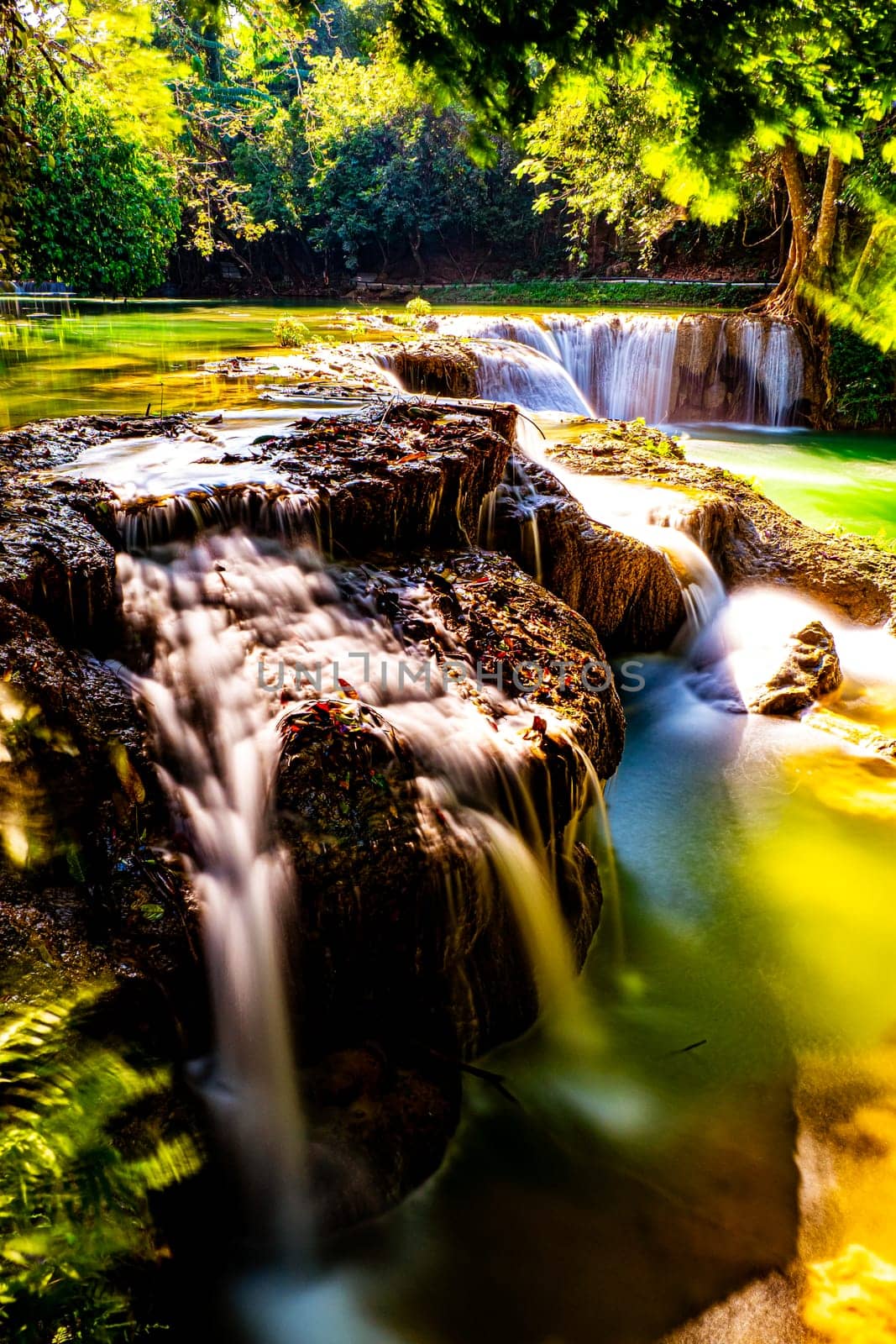 Unwind in the Lush Tropical Forest of Saraburi Thailand.