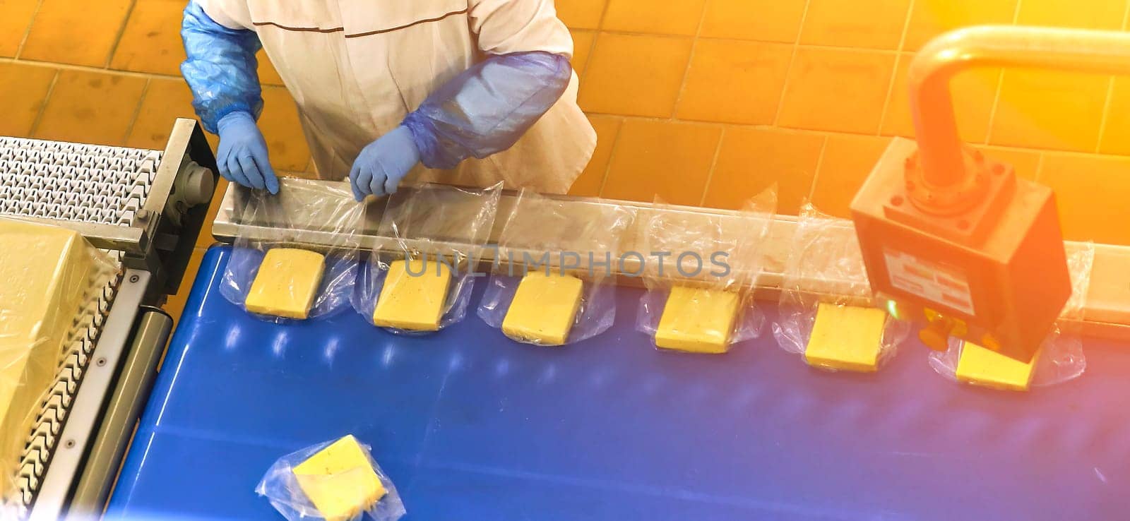 Two workers start making blocks of cheese in a factory. by Hil