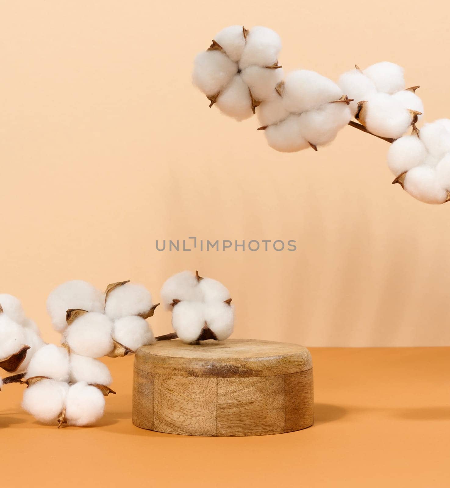 Round wooden platform and cotton branch with white flowers on beige background, stage for cosmetics display