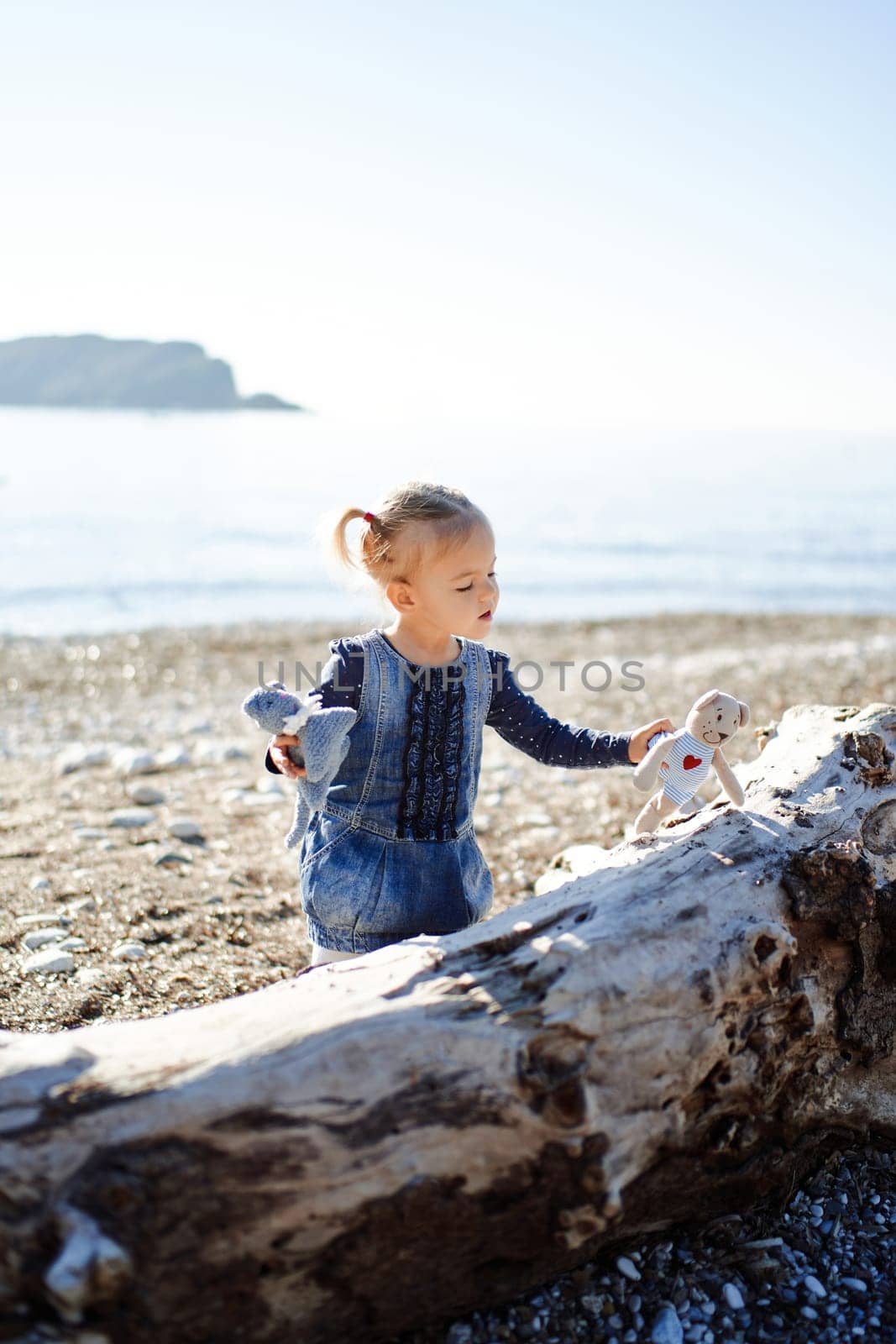 Little girl with soft toys plays on a driftwood on the beach by the sea. High quality photo