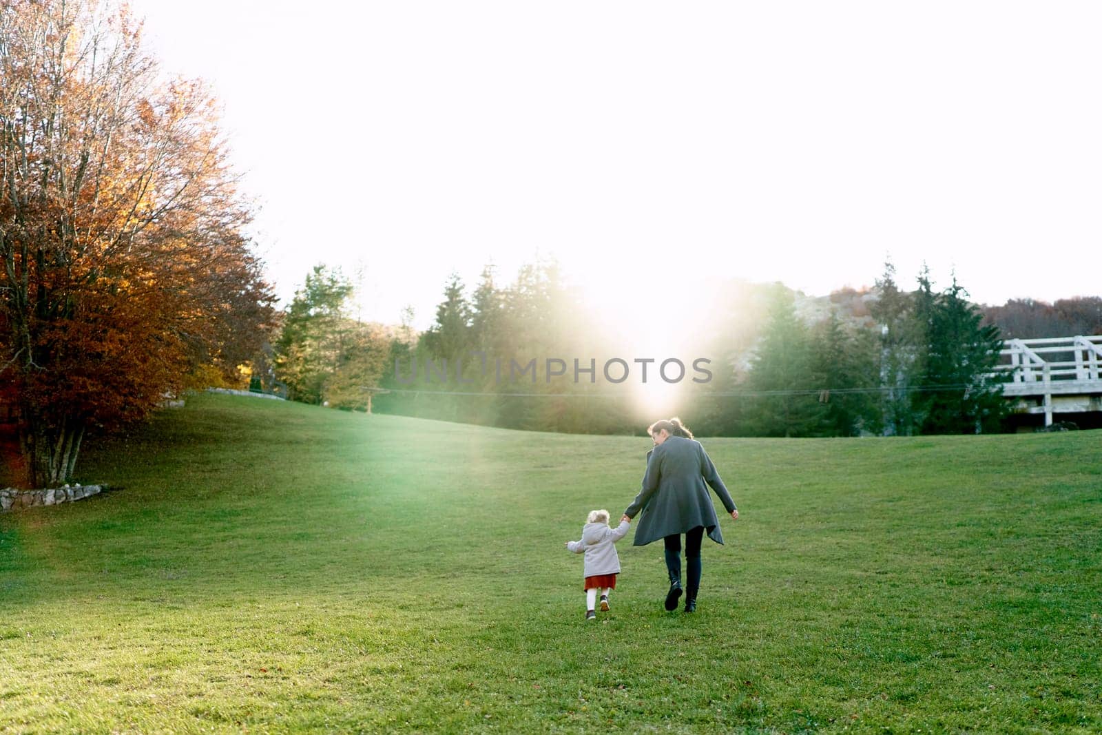 Mom with a little daughter walks through a green meadow, holding hands. Back view. High quality photo