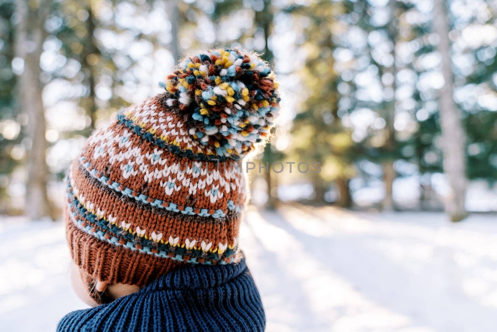 Small child in a knitted colorful hat stands on the edge of a snowy forest and looks into the distance. Back view. High quality photo