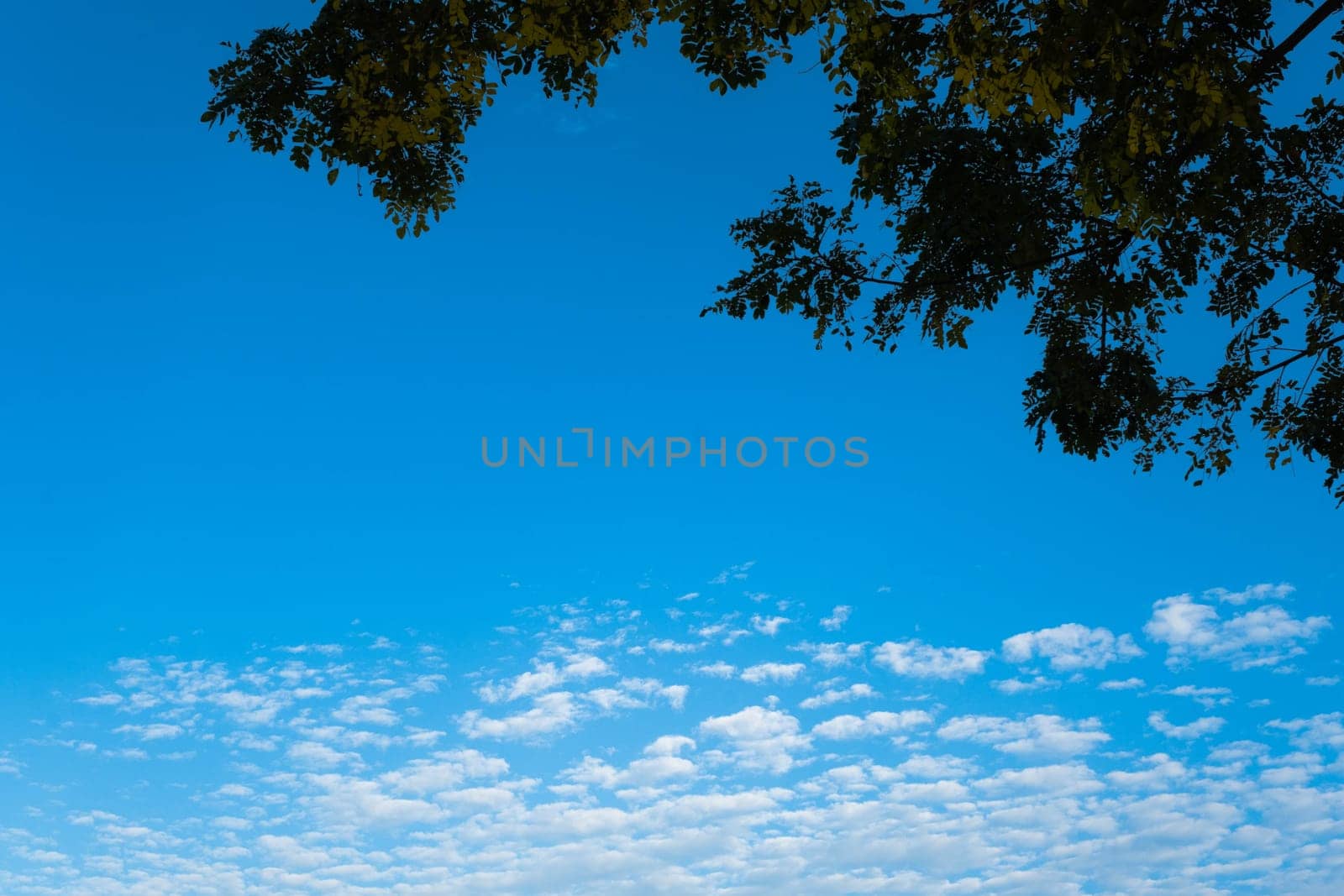 Beautiful sky with clouds and sun on a summer day. Time lapse of clouds above the blue sky with the sun shining. Sky nature background.