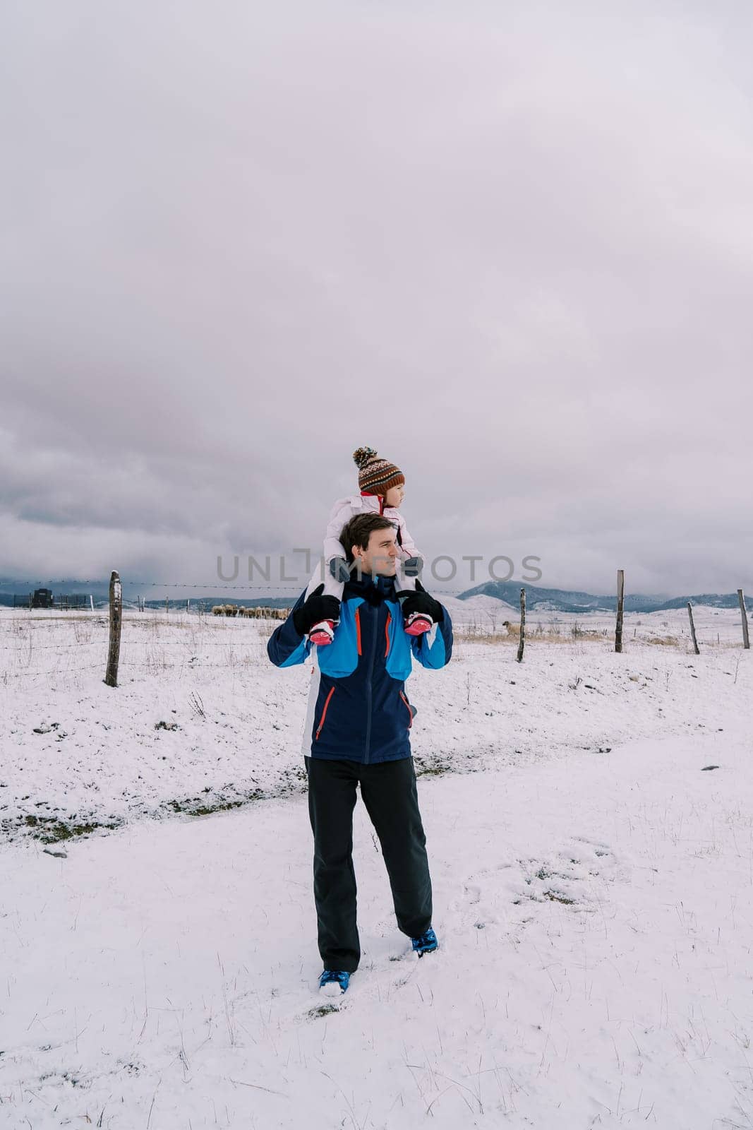 Dad with a little girl on his shoulders walks along a fenced snowy pasture looking to the side by Nadtochiy