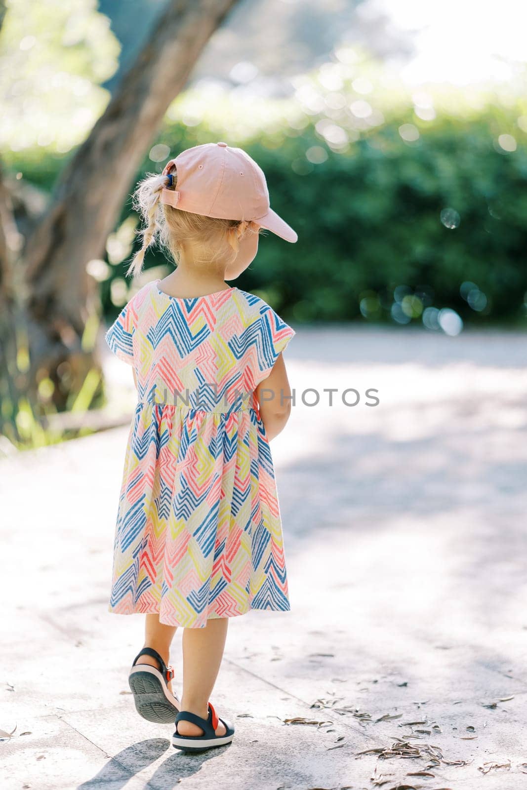 Little girl walks along a path in a sunny garden. Back view. High quality photo