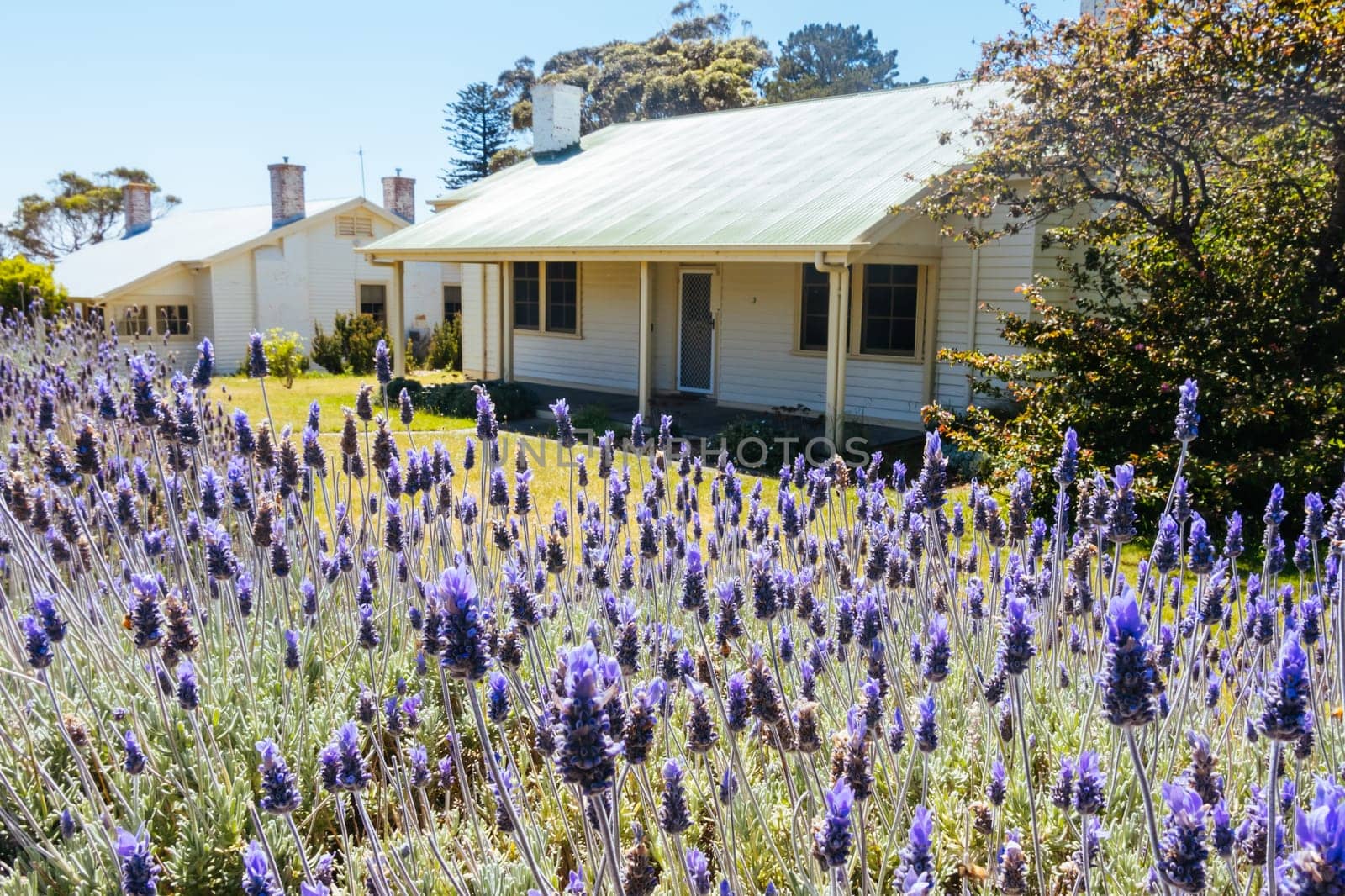 Buildings and surroundings in Police Point Shire Park near the famous Point Nepean Quarantine Station in Melbourne, Victoria, Australia