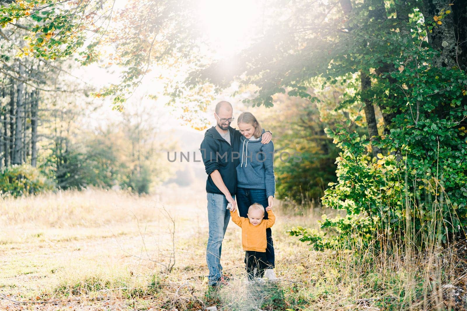 Mom and dad stand embracing and holding hands with their little son in the forest. High quality photo