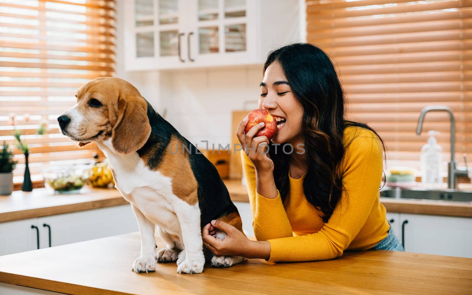 A red apple on the kitchen table becomes a symbol of togetherness as a woman and her retriever, her loyal companion, share it. Their joy and dedication as owner and pet shine. Pet love by Sorapop