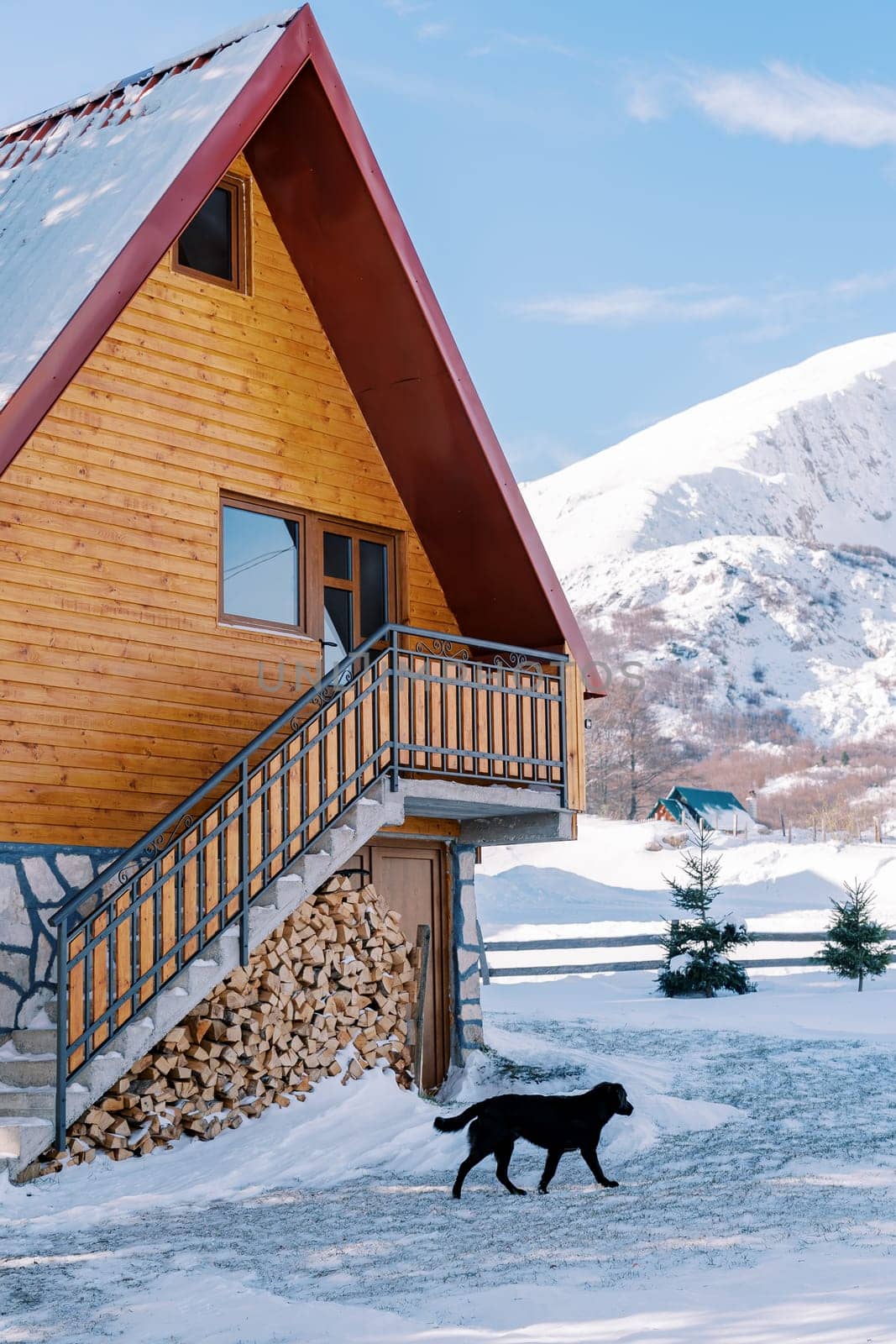 Black dog walks past a wooden two-story house in the snow. High quality photo