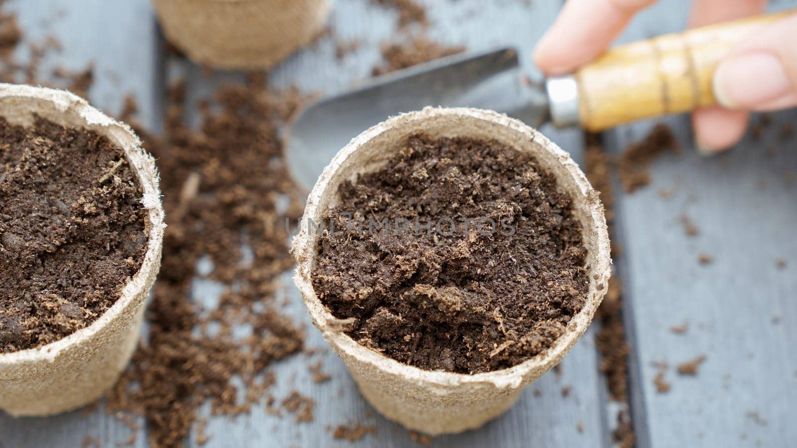 Close up of hand in yellow glove planting a seed in eco friendly biodegradable peat pots, top view, selective focus. Spring natural gardening, eco, plant care, organic product by JuliaDorian