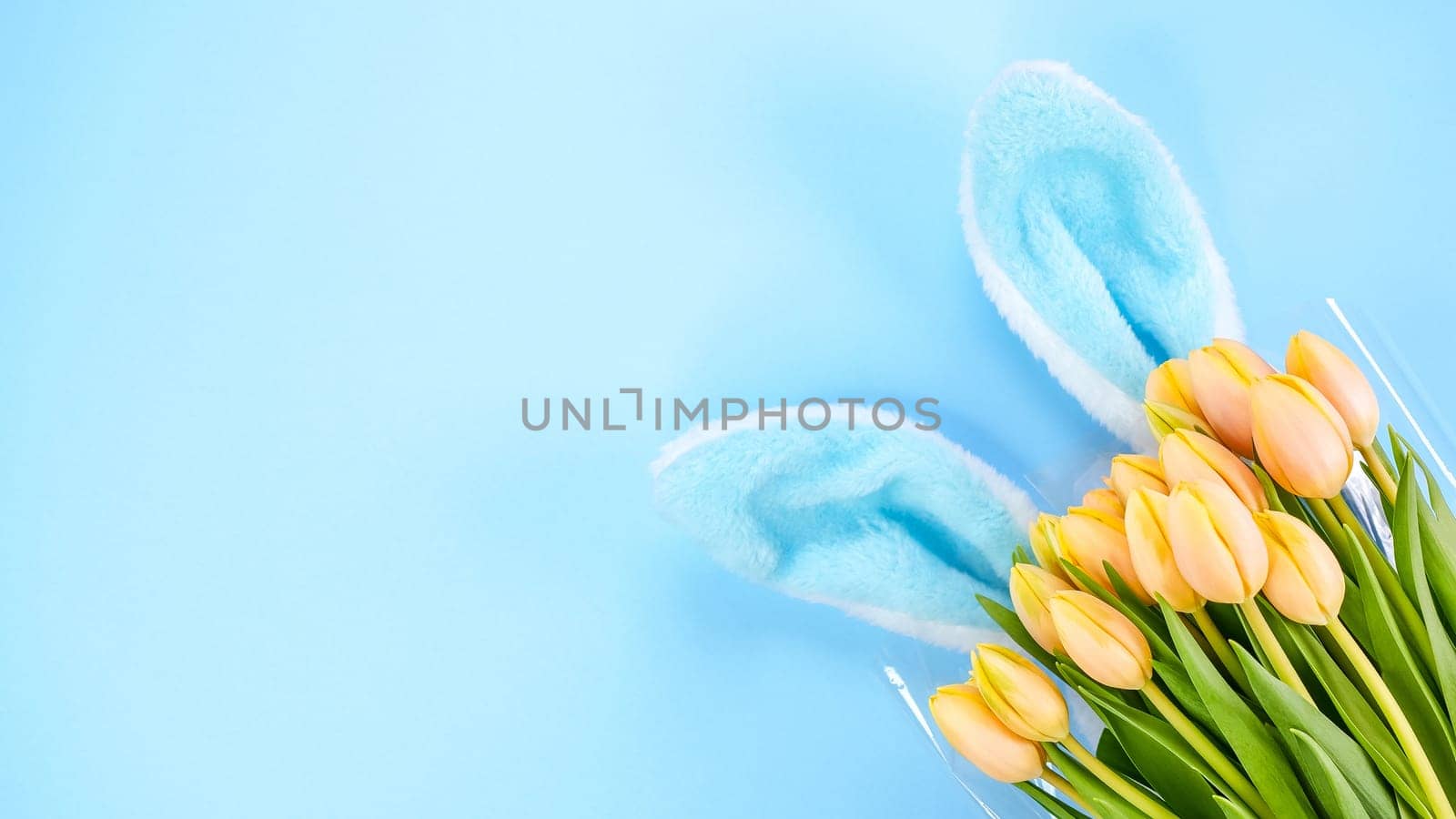 Fluffy blue bunny ears and yellow tulips flowers on blue background. Easter holiday concept. Space for text. Copy space. Top view, flat lay