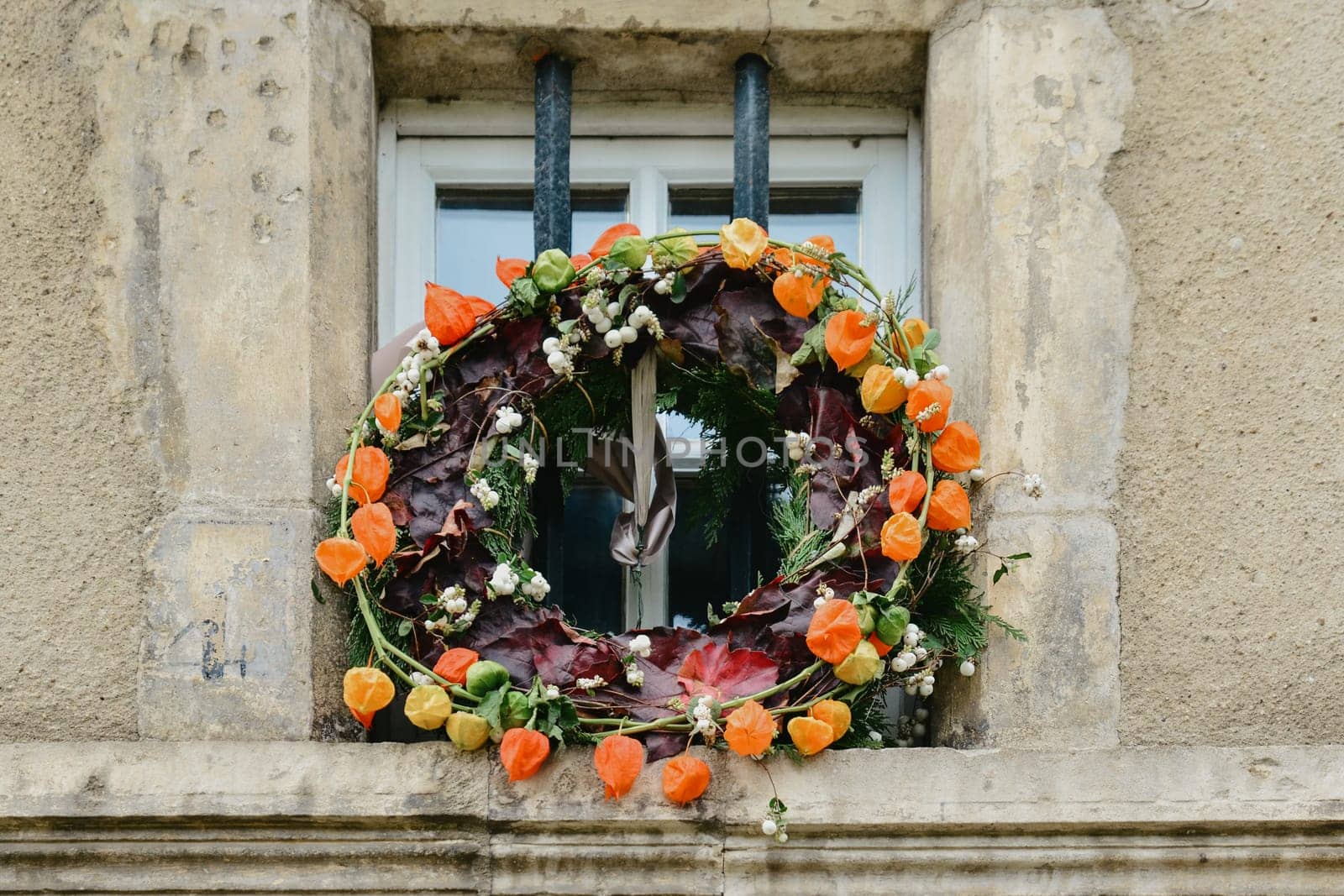 Wreath of autumn plants with physalis and leaf by Godi
