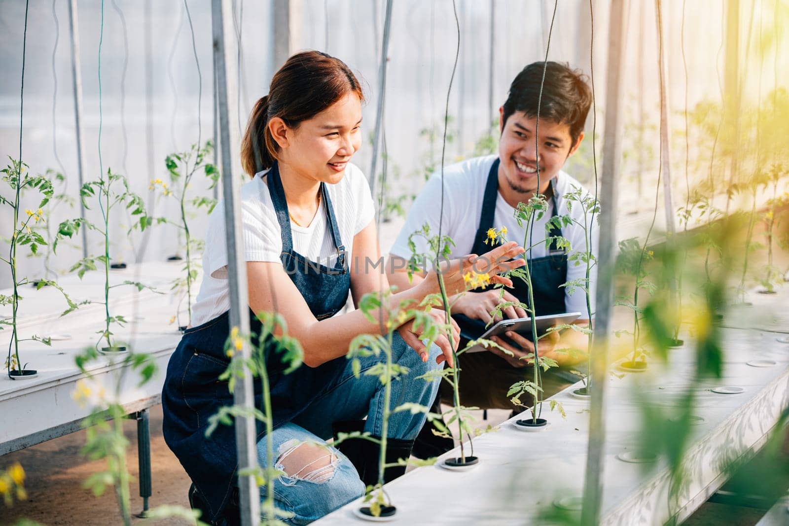 A radiant Asian couple farmers in a greenhouse proudly holding organic tomatoes and vegetables by Sorapop