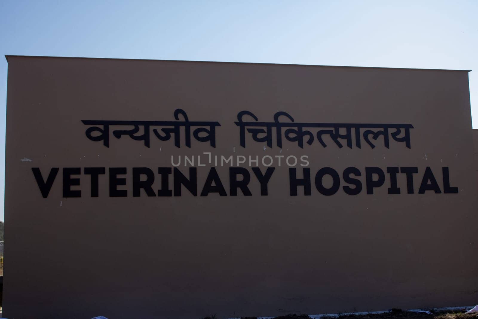 Uttarakhand's veterinary hospital, where compassionate care meets breathtaking natural beauty