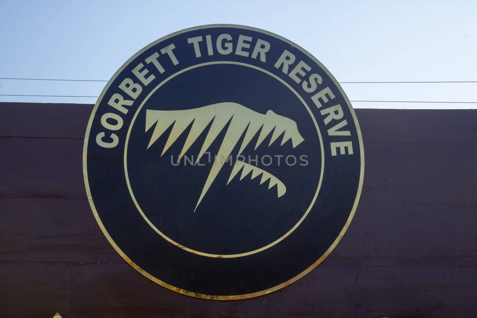A Journey through Corbett Tiger Reserve, Uttarakhand by stocksvids