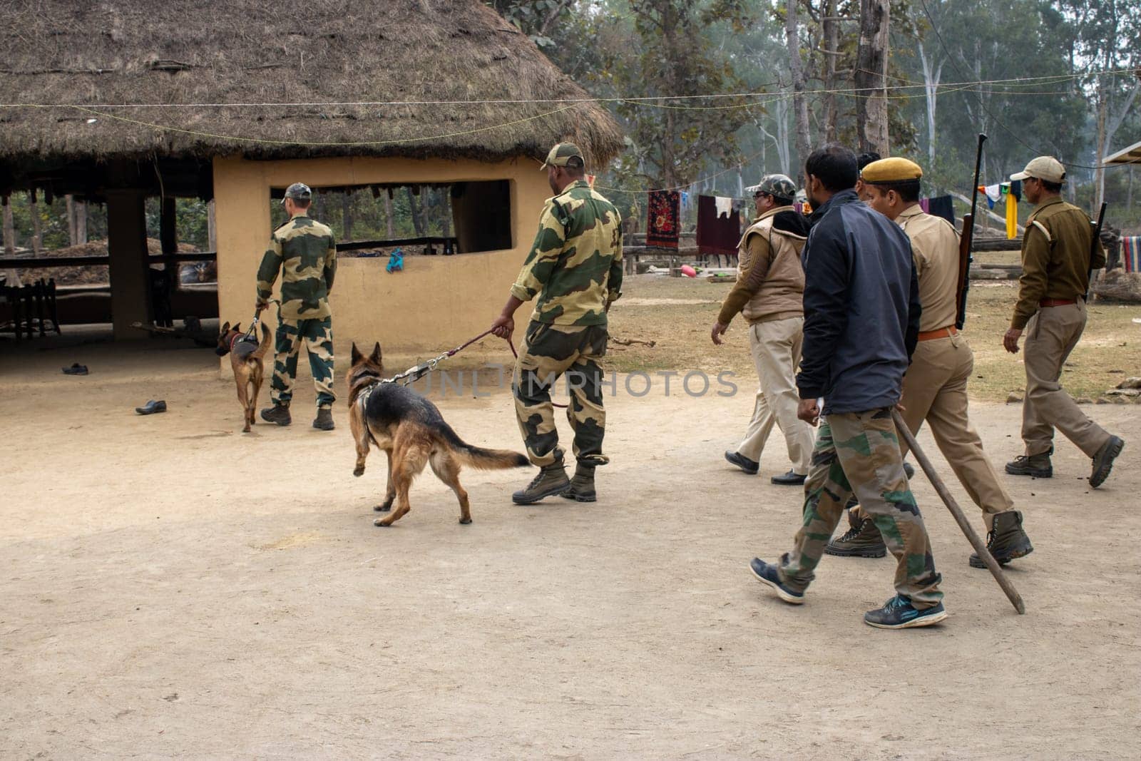 Trained dogs in Uttarakhand embark on a mission to track and uncover illegal activities.High quality image