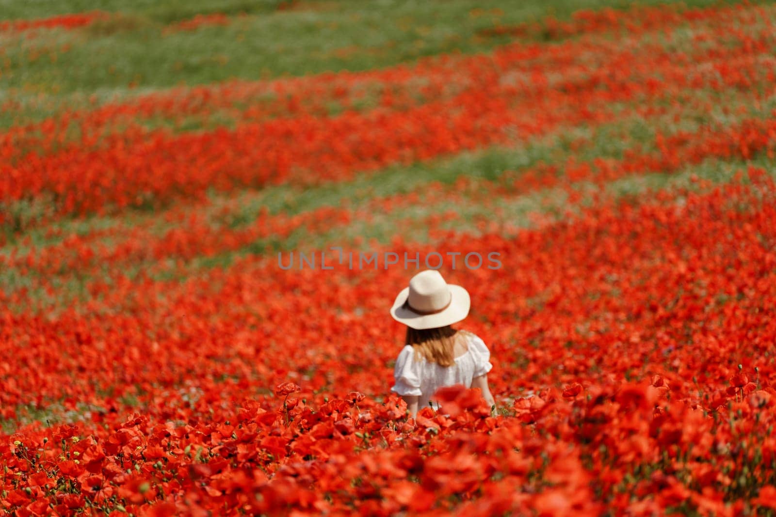 Field poppies woman. Happy woman in a white dress and hat stand with her back a blooming field of poppy. Field of blooming poppies