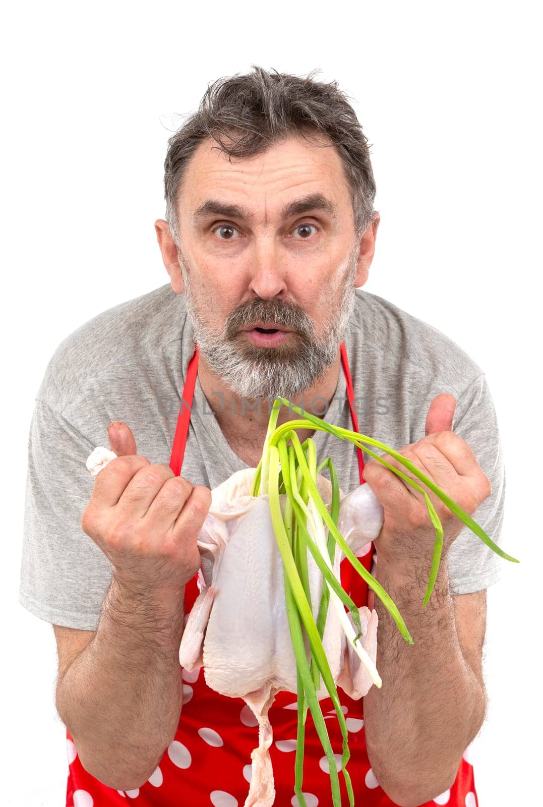 An elderly bearded male cook in a red polka-dot apron holds a raw chicken and a bunch of onions on a white background. Cook with chicken. by Sviatlana