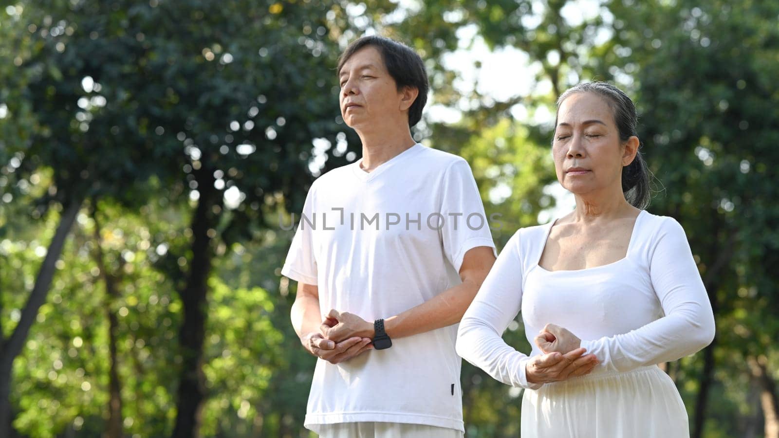 Image of peaceful senior couple doing Qi Gong or Tai Chi exercise in the summer park. by prathanchorruangsak