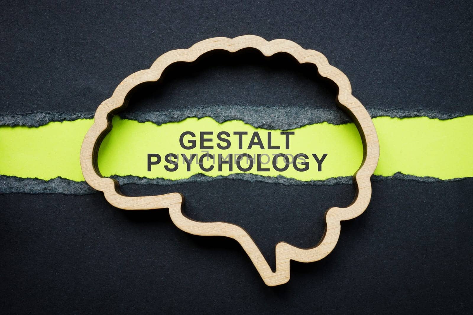 Wooden brain outline and inscription gestalt psychology on paper.