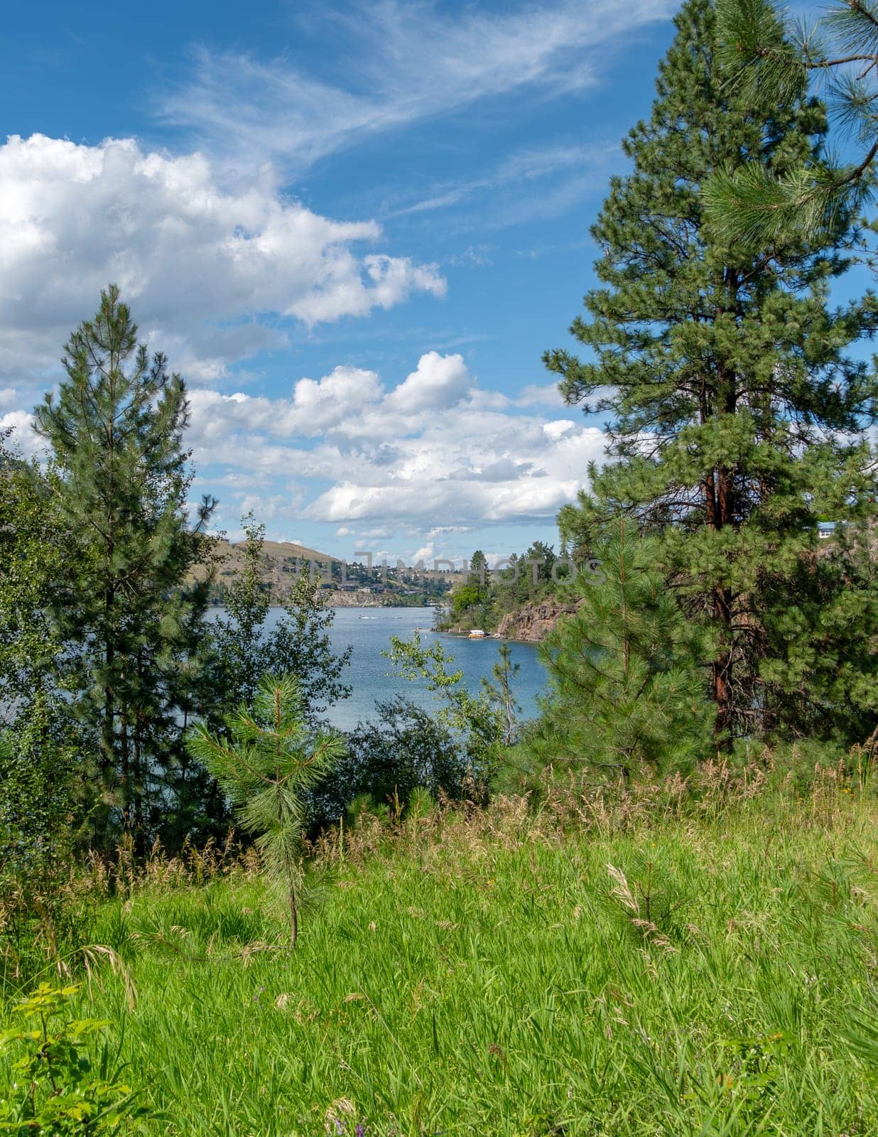 Summer landscape with trees, mountains and lake surface on cloudy sky background.