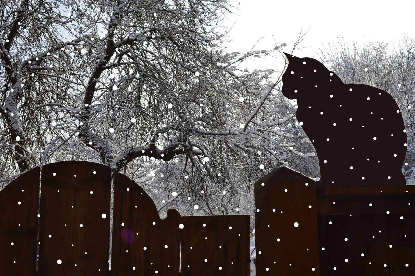 Winter landscape with black cat on a fence