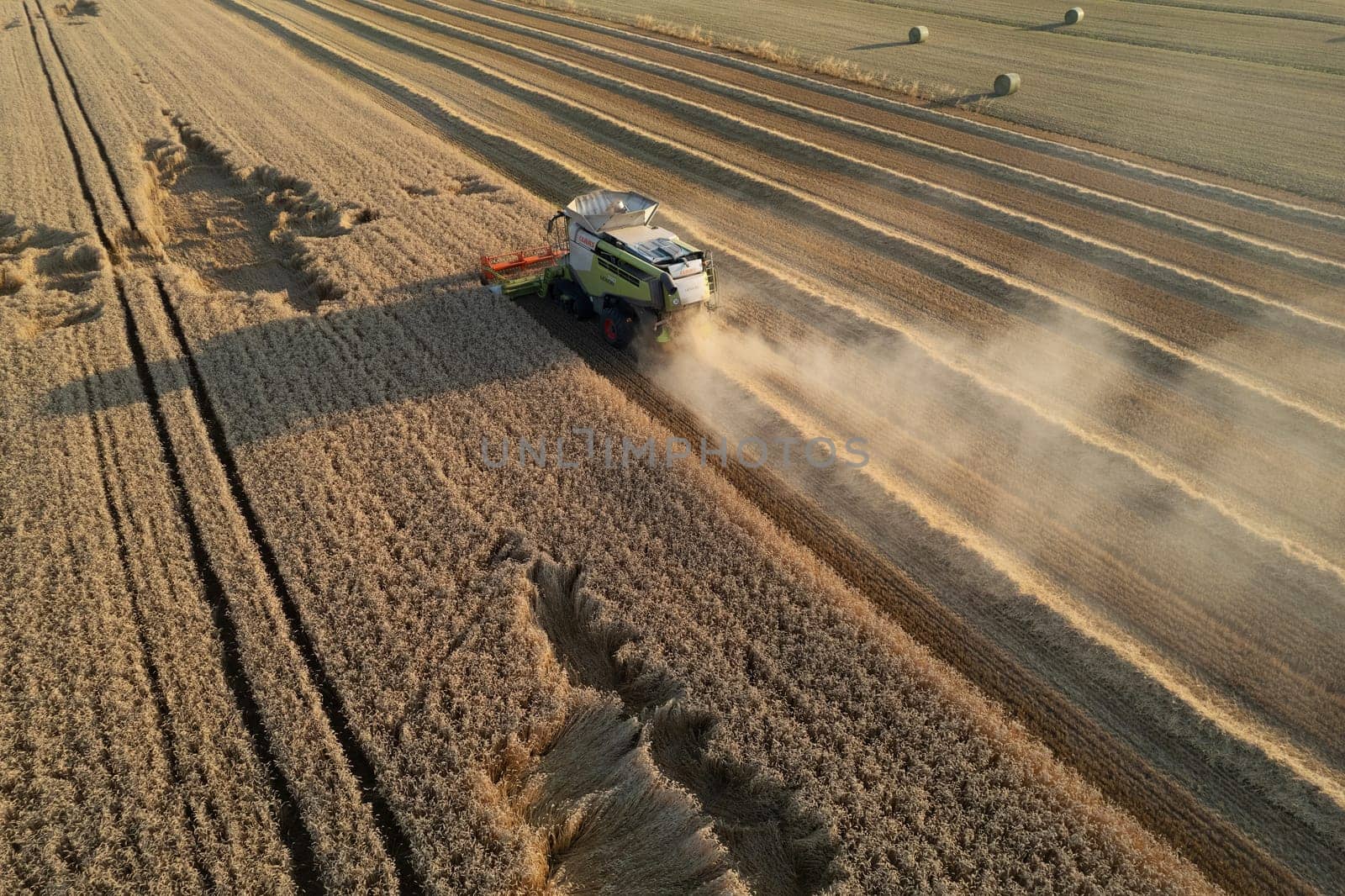 aerial view combine harvester threshing wheat grain in large field at early sunset in summer time by verbano