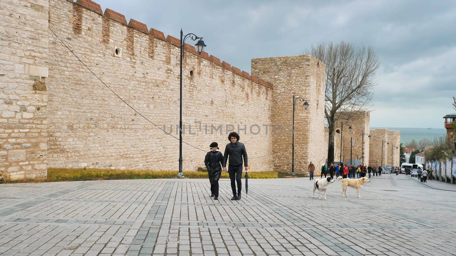 The Walls of Salutation, Topkapi Palace.