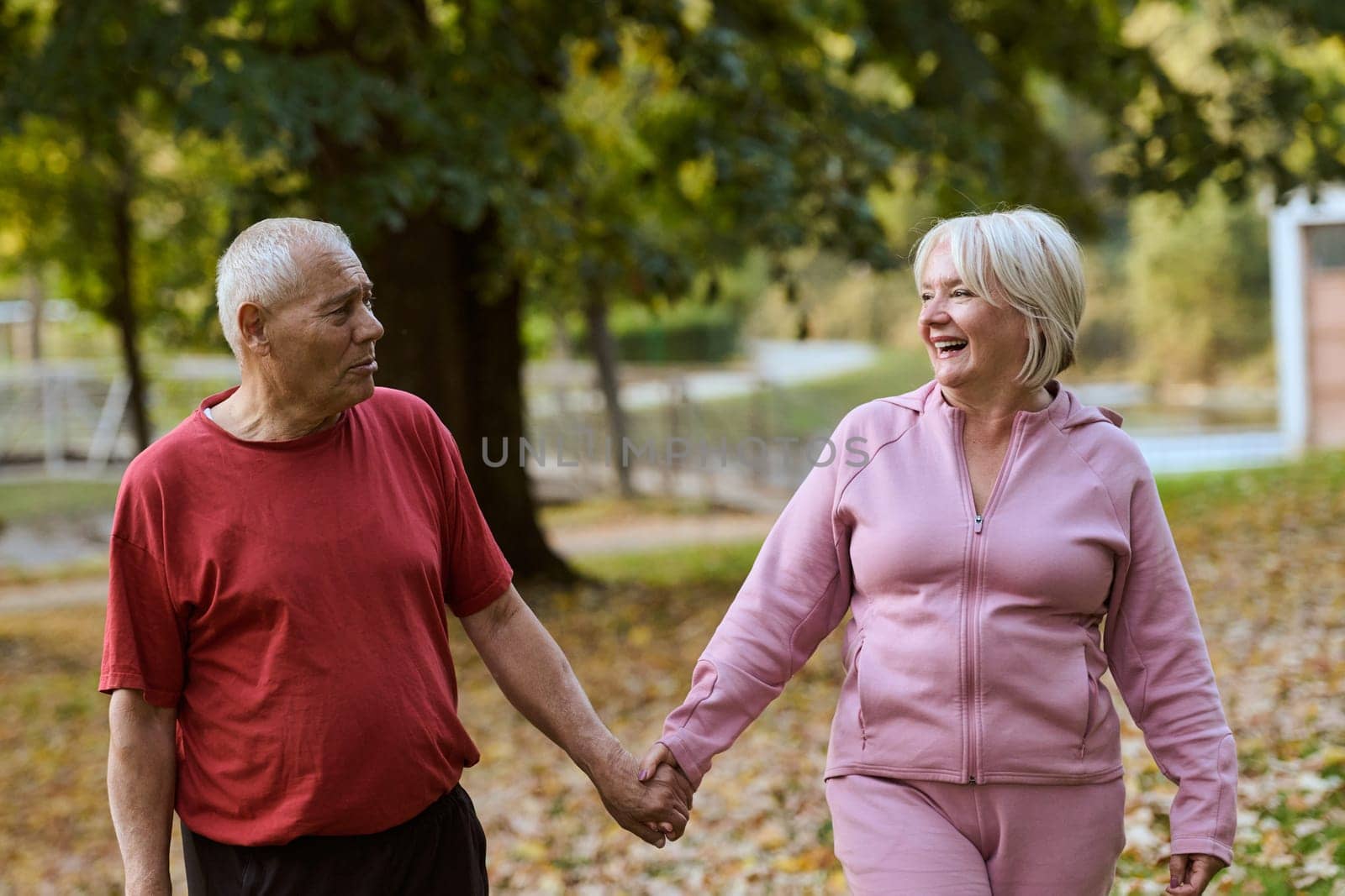 Elderly couple strolling through the breathtaking beauty of nature, maintaining their vitality and serenity, embracing the joys of a health-conscious and harmonious lifestyle.