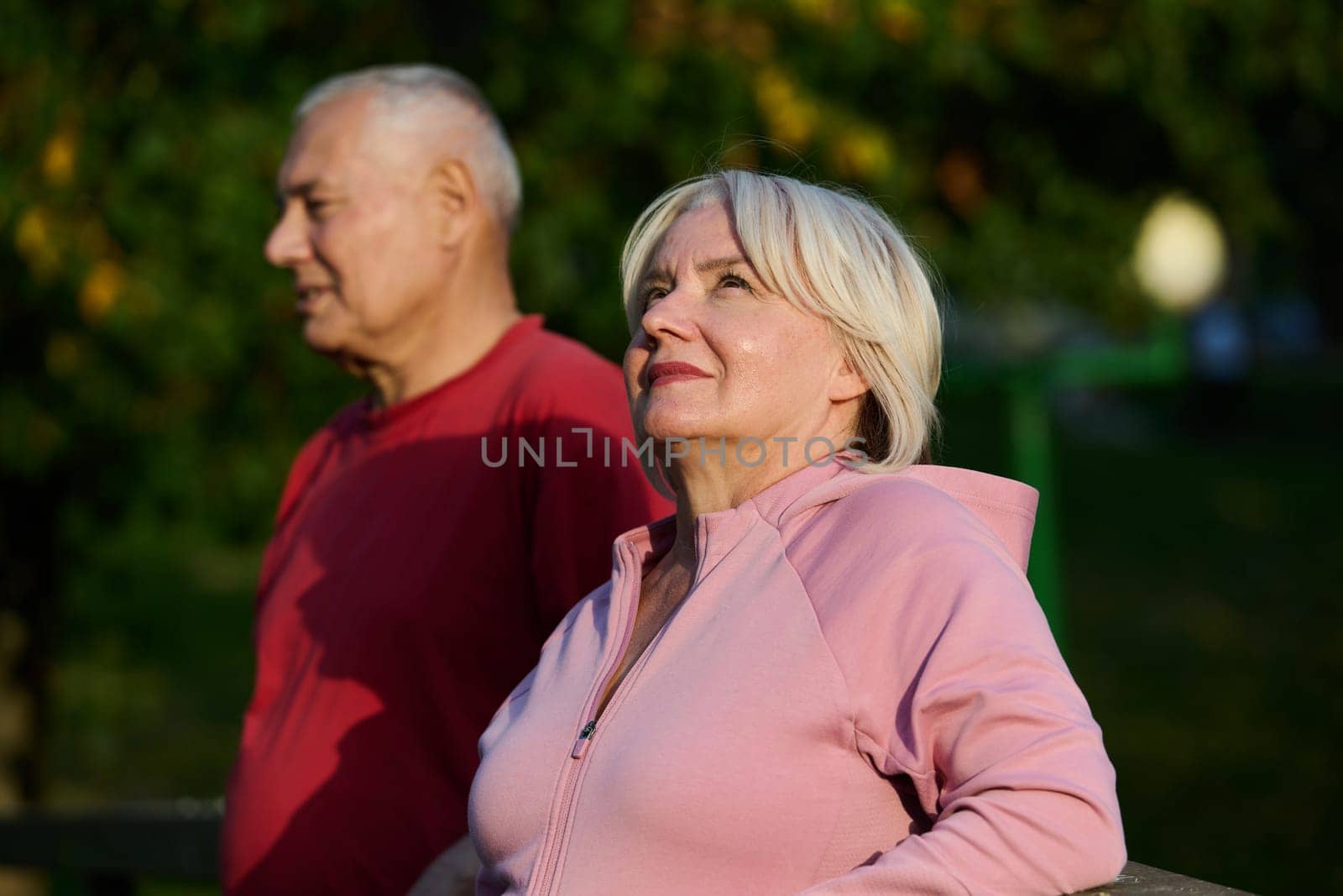 Elderly couple strolling through the breathtaking beauty of nature, maintaining their vitality and serenity, embracing the joys of a health-conscious and harmonious lifestyle by dotshock