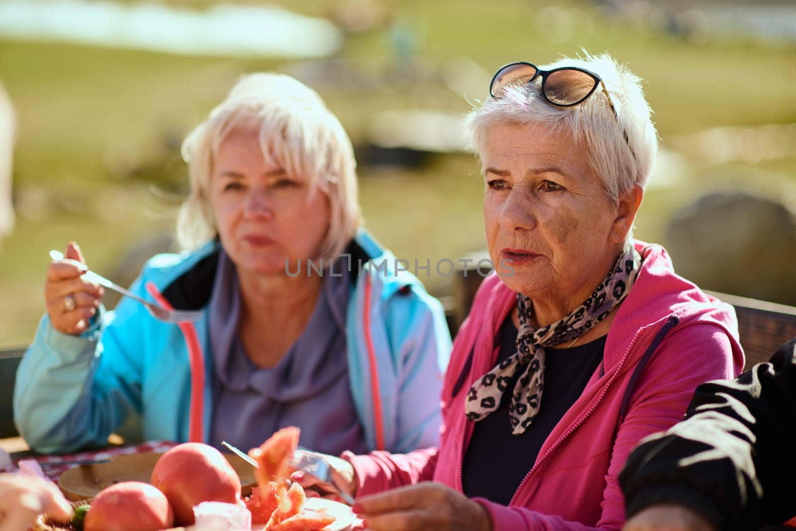 A family on a mountain vacation indulges in the pleasures of a healthy life, savoring traditional pie while surrounded by the breathtaking beauty of nature, fostering family bonds and embracing the vitality of their mountain retreat.