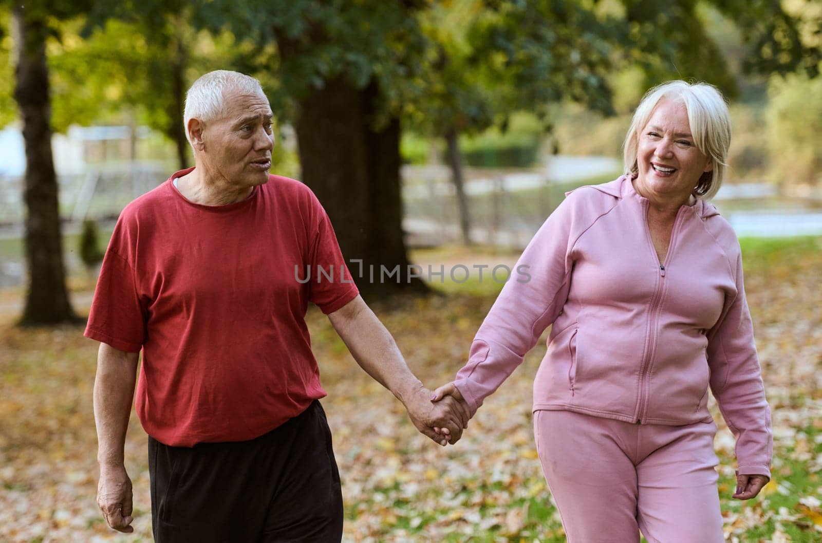 Elderly couple strolling through the breathtaking beauty of nature, maintaining their vitality and serenity, embracing the joys of a health-conscious and harmonious lifestyle by dotshock