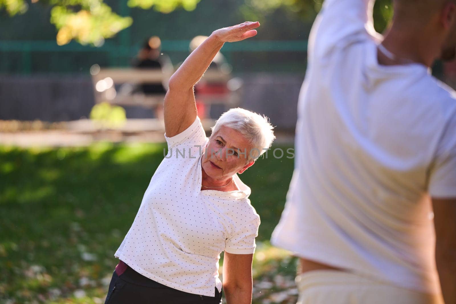 A group of seniors follows a trainer, engaging in outdoor exercises in the park, as they collectively strive to maintain vitality and well-being, embracing an active and health-conscious lifestyle in their later years by dotshock