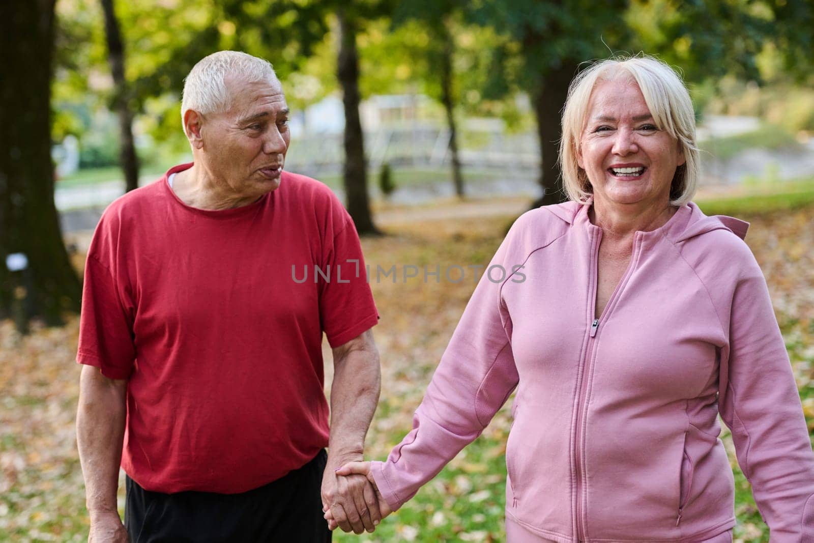 Elderly couple strolling through the breathtaking beauty of nature, maintaining their vitality and serenity, embracing the joys of a health-conscious and harmonious lifestyle by dotshock