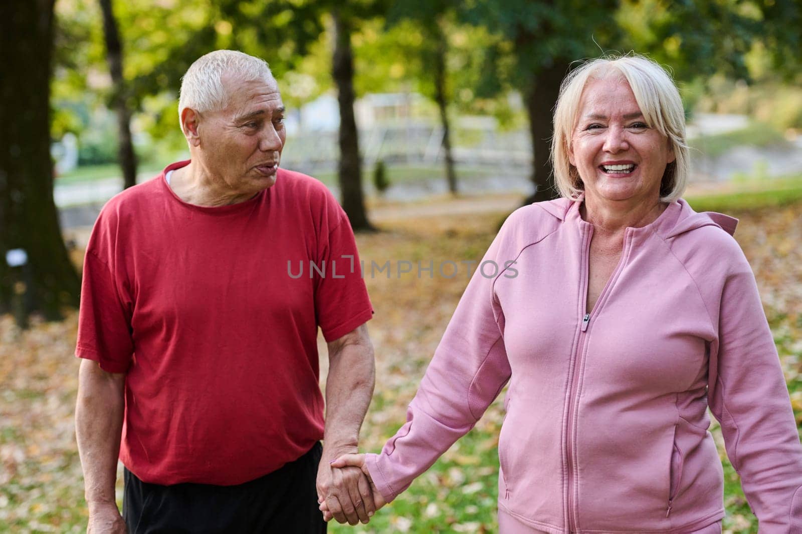 Elderly couple strolling through the breathtaking beauty of nature, maintaining their vitality and serenity, embracing the joys of a health-conscious and harmonious lifestyle.