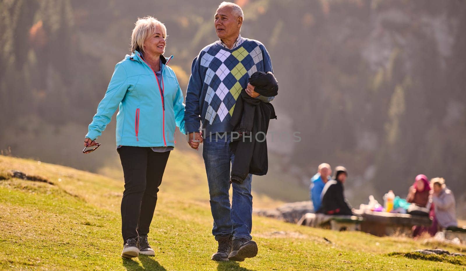 Elderly couple strolling through the breathtaking beauty of nature, maintaining their vitality and serenity, embracing the joys of a health-conscious and harmonious lifestyle.