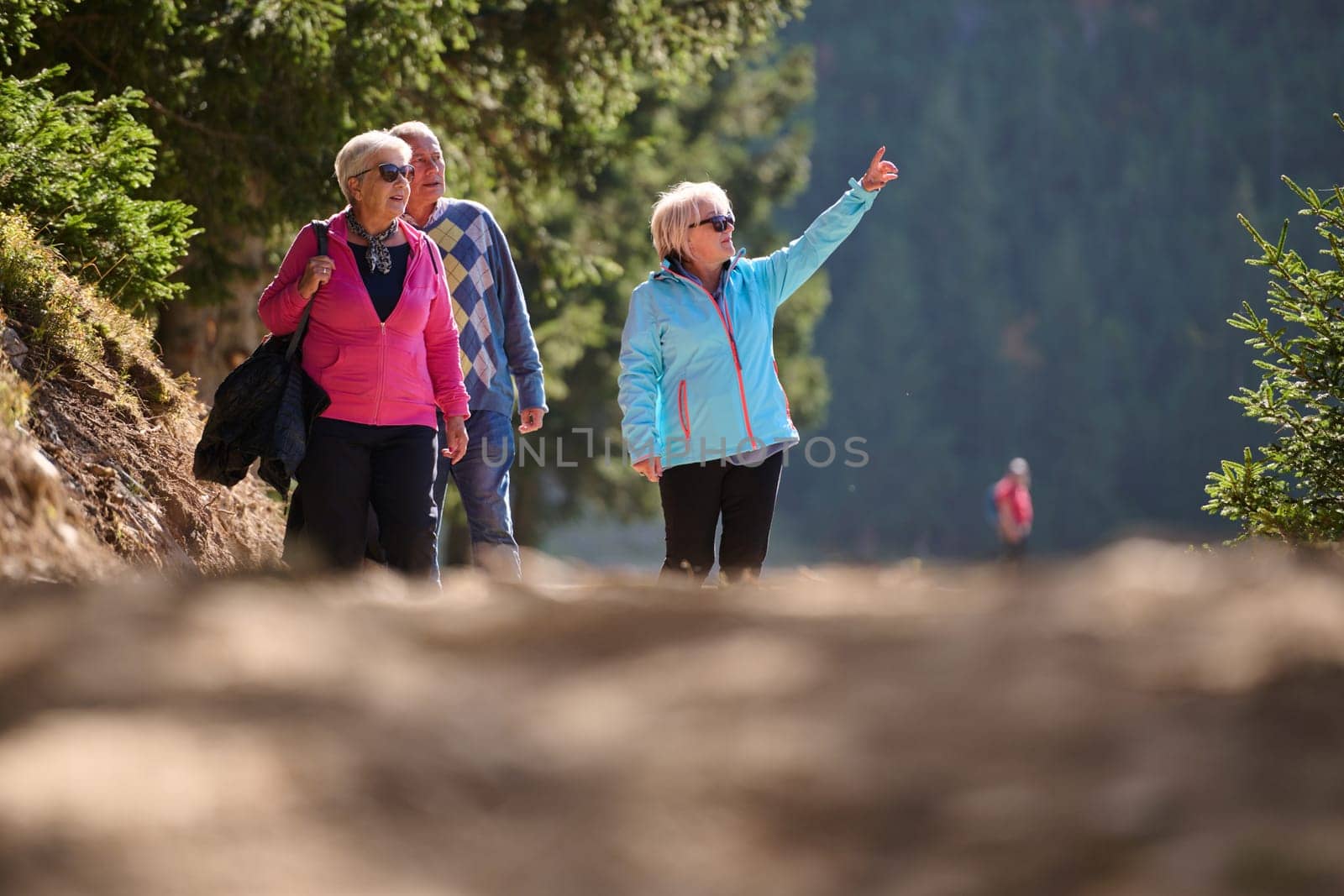 A family shares delightful moments with their friends amid the stunning landscapes of mountains, lakes, and winding paths, promoting a healthy lifestyle and the joy of familial bonds in the embrace of nature's beauty.