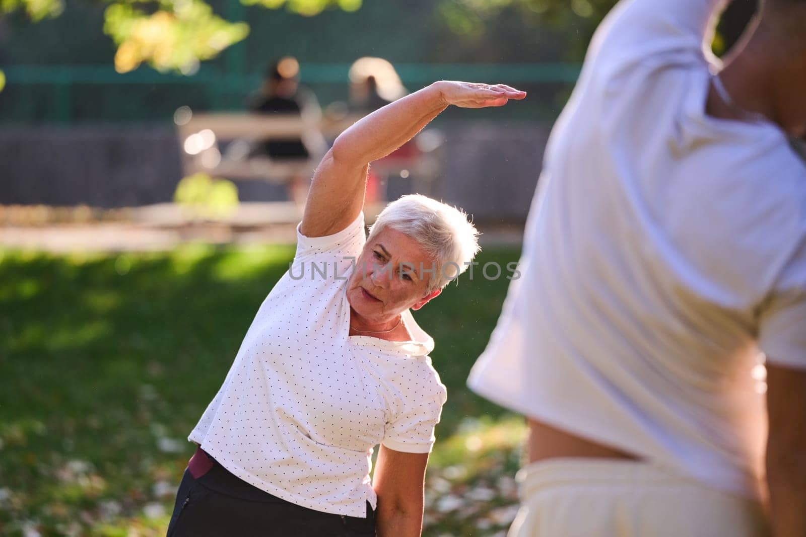 A group of seniors follows a trainer, engaging in outdoor exercises in the park, as they collectively strive to maintain vitality and well-being, embracing an active and health-conscious lifestyle in their later years by dotshock